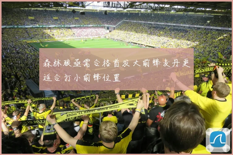 森林狼亟需合格首发大前锋麦丹更适合打小前锋位置