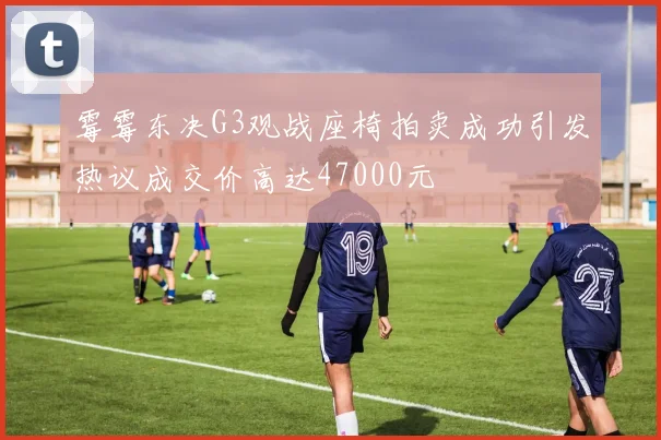 霉霉东决G3观战座椅拍卖成功引发热议成交价高达47000元